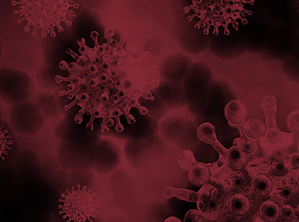 imagen del articulo, Ayudanos a prevenir 